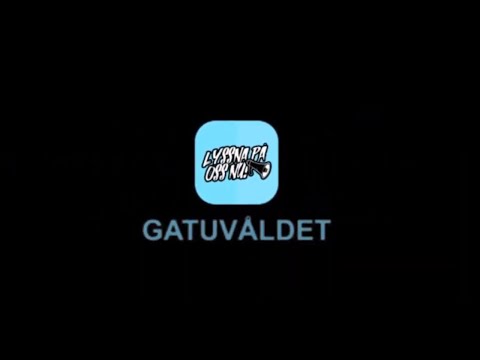 gallery video