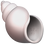 :shell: