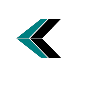 Skyqraft