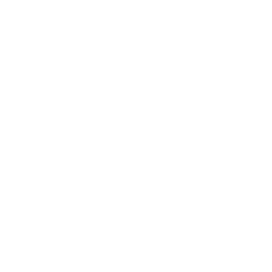 Welo Data